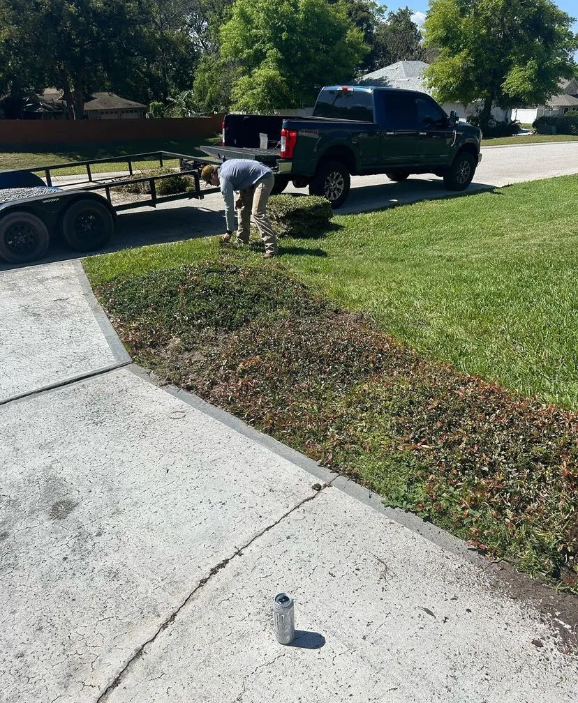 A newly resoded lawn with a sprinkler system installed. The sprinkler system is watering the new sod.