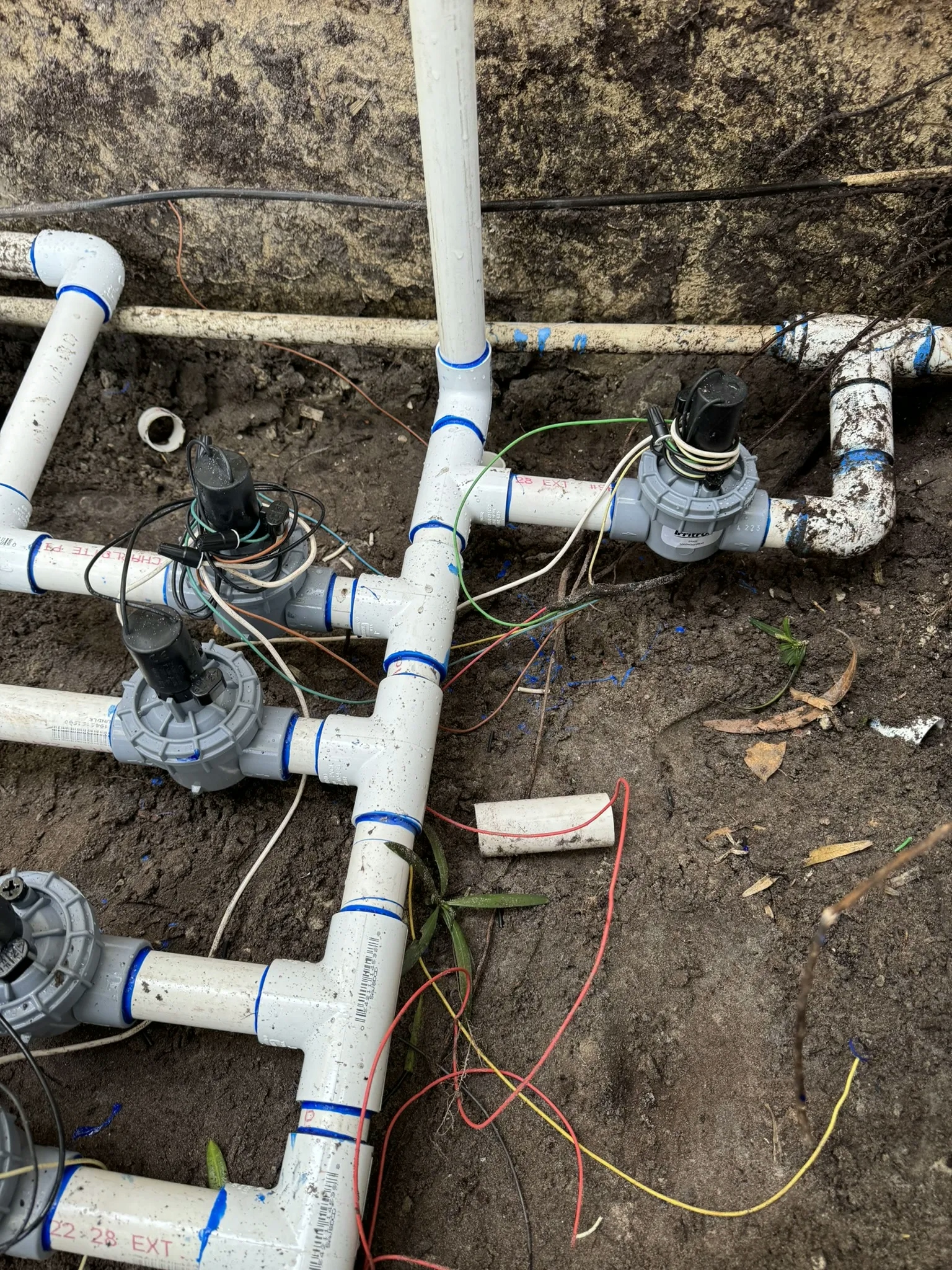 A sprinkler system is installed in a yard. The white PVC pipes are connected to the water source and the sprinkler heads are placed in the ground.