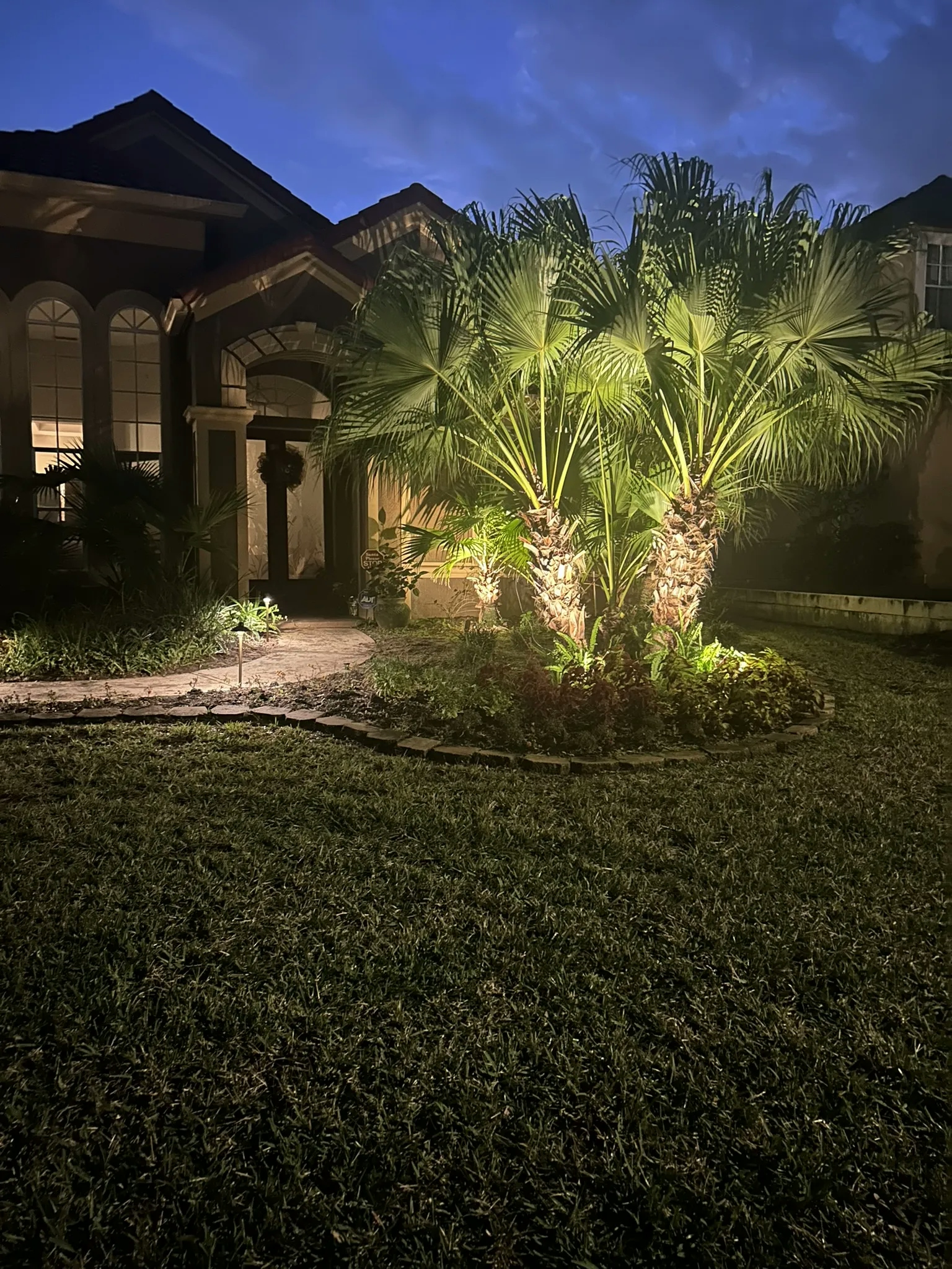 A well-lit pathway leads up to a house, with palm trees and other plants illuminated in the front yard.