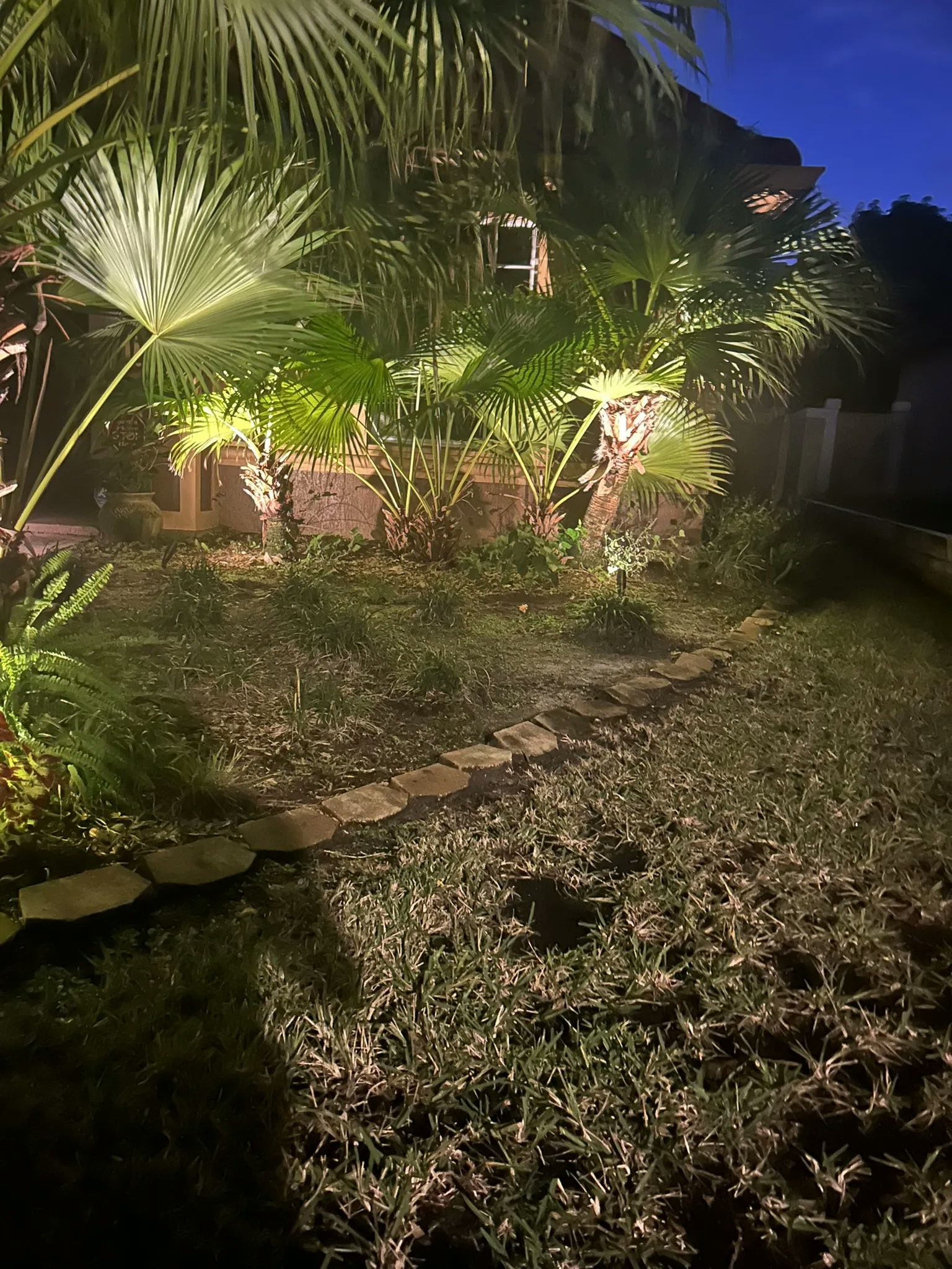 Elegant landscape lighting illuminating a garden path and trees, enhancing the beauty of the outdoor space.