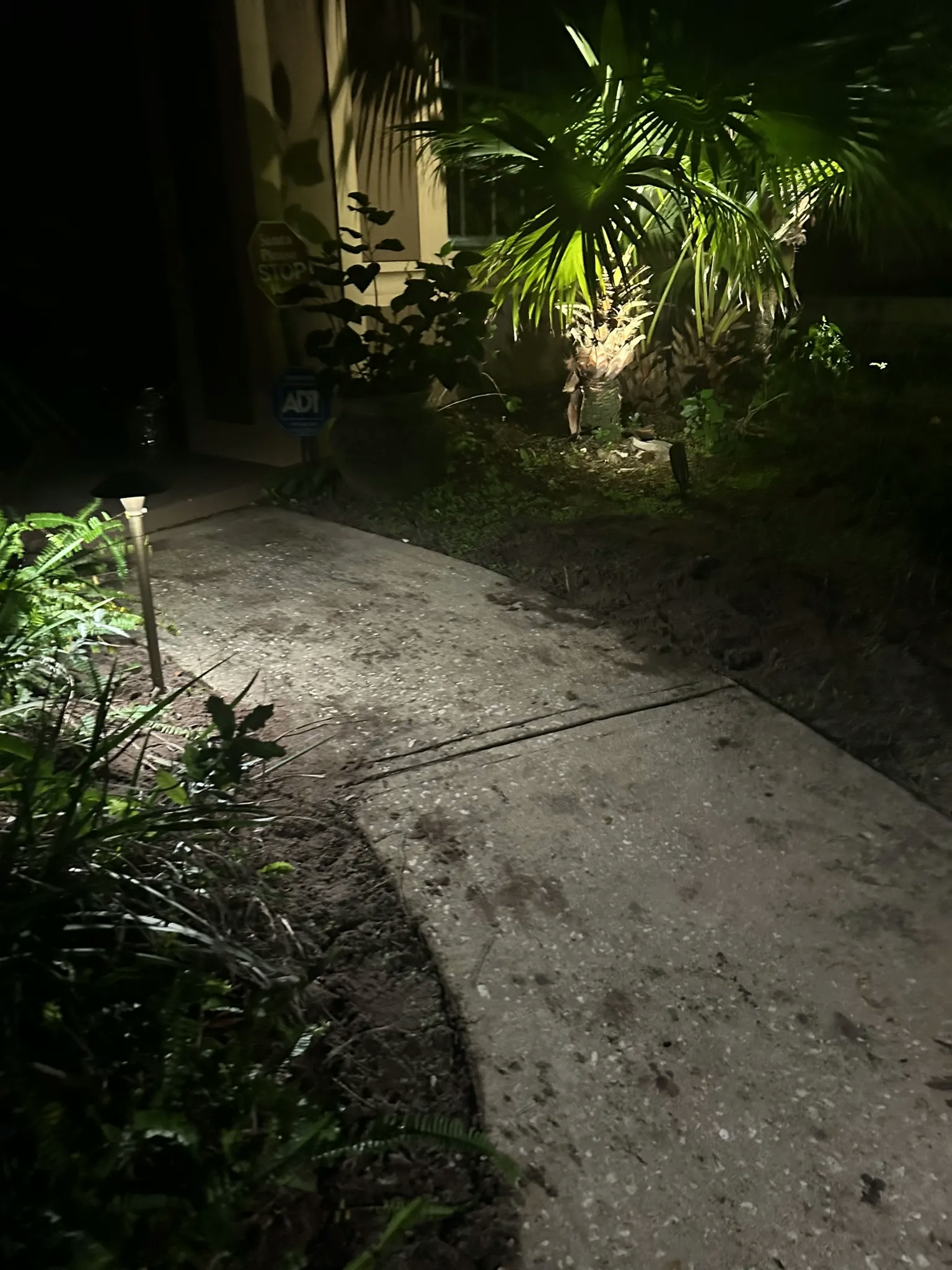 Strategically placed lights illuminate a lush lawn and garden elements at night, creating a serene outdoor atmosphere.