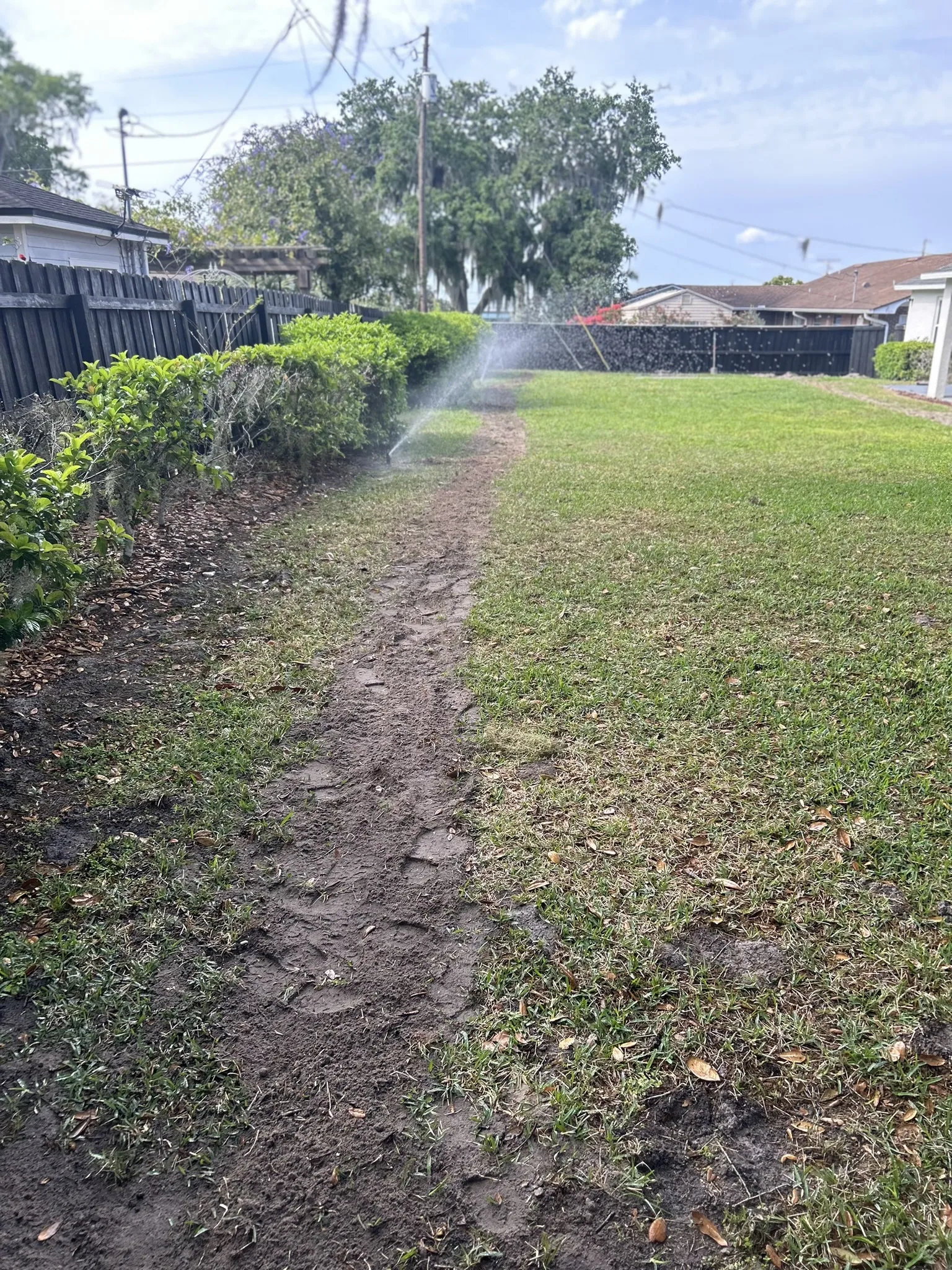 Sprinkler System A residential sprinkler system waters a lush green lawn on a sunny day.