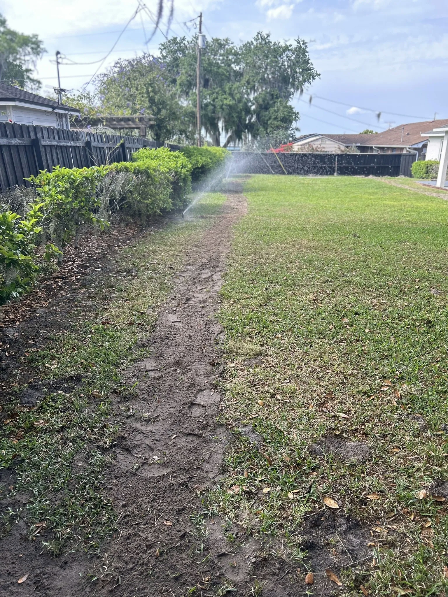 A residential sprinkler system waters a lush green lawn on a sunny day.