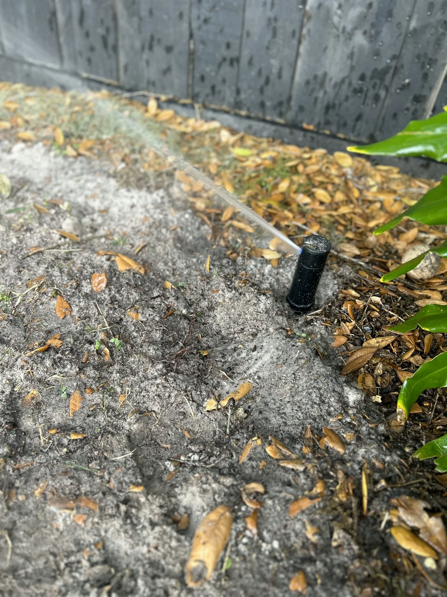 A black sprinkler head waters a dry, sandy patch of soil next to a wooden fence.