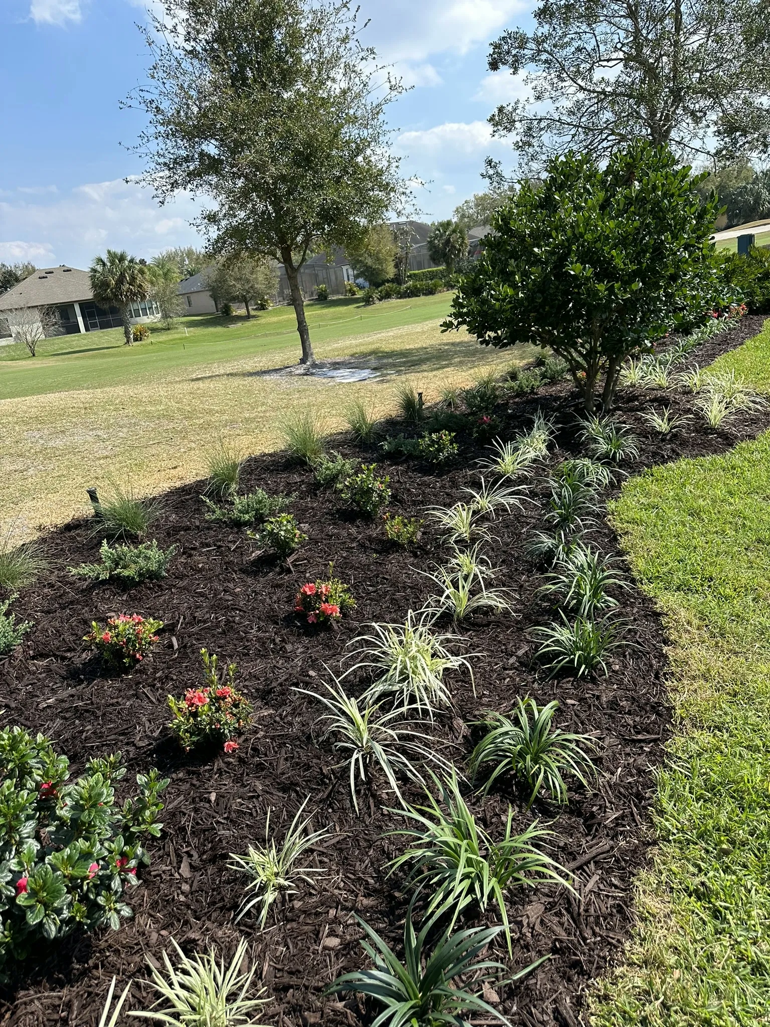 A sprinkler system is installed in a mulch bed next to a golf course. The mulch bed has newly planted shrubs and ground cover.